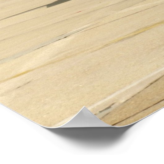 Ein trojanisches Pferd T-28. Poster (Ecke)