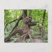 Ein Troll im Wald Postkarte (Vorderseite)