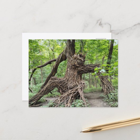 Ein Troll im Wald Postkarte (Vorderseite/Rückseite Beispiel)