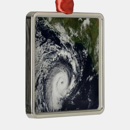 Ein tropischer Wirbelsturm Ornament Aus Metall (Rechts)
