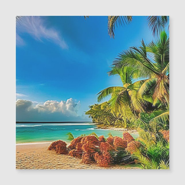 Ein tropisches Paradies. Magnetkarte (Vorderseite)