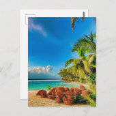 Ein tropisches Paradies. Postkarte (Vorne/Hinten)