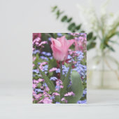 Ein Tulp in den Luxembourg Gardens, Paris, Frankre Postkarte (Stehend Vorderseite)