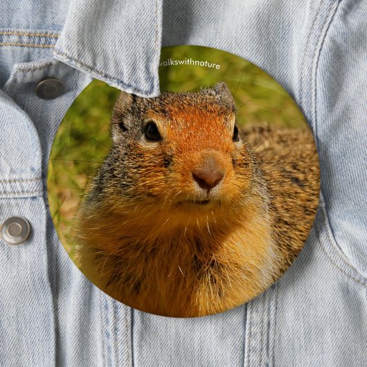 Ein Twitscherstäbchen-Eichhörnchen aus der Columbi Button (Beispiel)