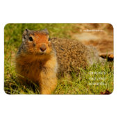 Ein Twitscherstäbchen-Eichhörnchen aus der Columbi Magnet (Horizontal)