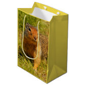 Ein Twitscherstäbchen-Eichhörnchen aus der Columbi Mittlere Geschenktüte (Vorderseite Schrägansicht)