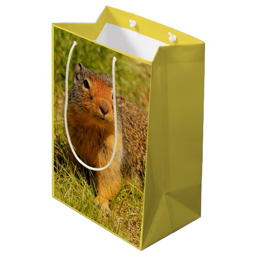 Ein Twitscherstäbchen-Eichhörnchen aus der Columbi Mittlere Geschenktüte (Rückseite Schrägansicht)