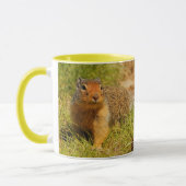 Ein Twitscherstäbchen-Eichhörnchen aus der Columbi Tasse (Links)