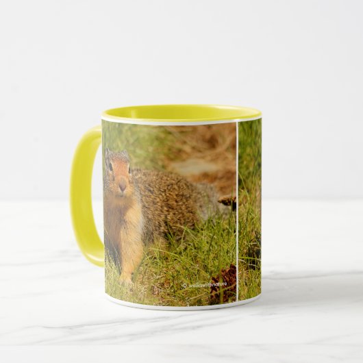 Ein Twitscherstäbchen-Eichhörnchen aus der Columbi Tasse (Vorderseite Links)