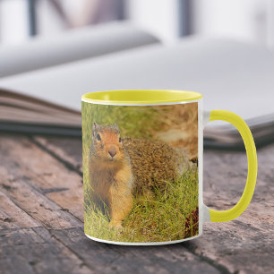 Ein Twitscherstäbchen-Eichhörnchen aus der Columbi Tasse