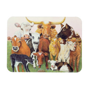 Ein überraschender Fremder Magnet