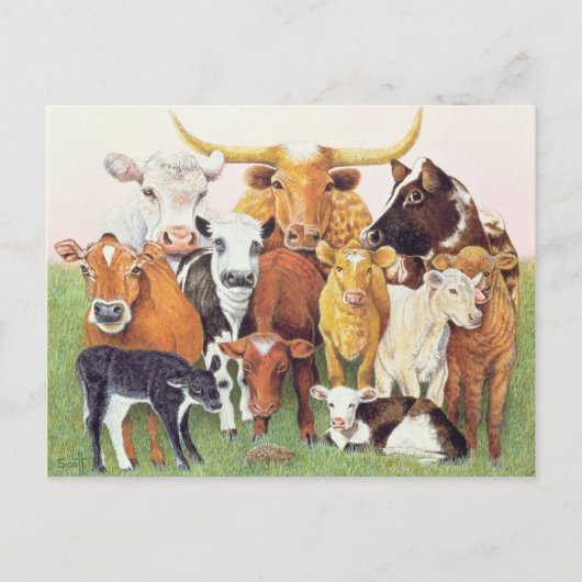 Ein überraschender Fremder Postkarte (Vorderseite)