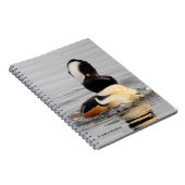 Ein überraschender, gehobener Merganser Notizblock (Rechte Seite)