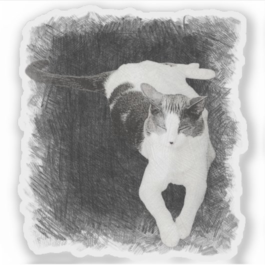 Ein ungleicher Winkel Aufkleber (Vorderseite)