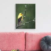 Ein unglücklicher Goldfinch Leinwanddruck (Insitu (Wohnzimmer))
