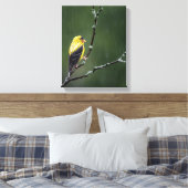 Ein unglücklicher Goldfinch Leinwanddruck (Insitu (Schlafzimmer))