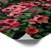 Ein üppiger Garten voller bunter Blume Poster (Ecke)