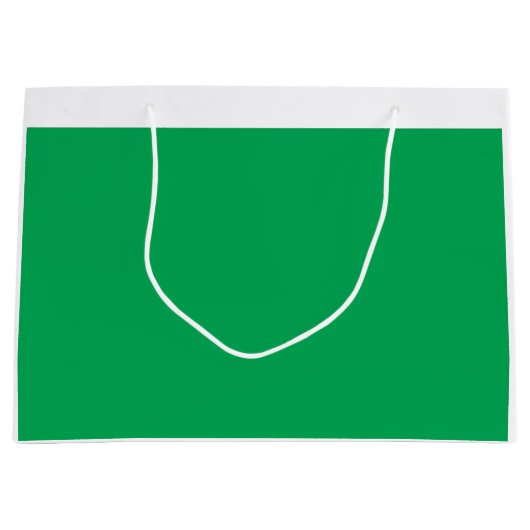 Ein üppiger, grüner Farn mit zartem, verzaubertem Große Geschenktüte (Vorderseite)