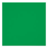 Ein üppiger, grüner Farn mit zartem, verzaubertem Poster (Vorderseite)