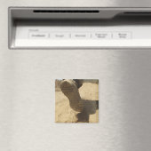 Ein US-Soldat läuft auf einem schmutzigen Pfad Magnet (In Situ (Geschirrspüler))