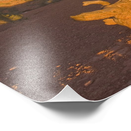 Ein Utah Juniper Juniperus Osteosperma) Fotodruck (Ecke)