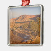 Ein Utah-Wacholder (Juniperus osteosperma)-Baum in Silbernes Ornament (Links)
