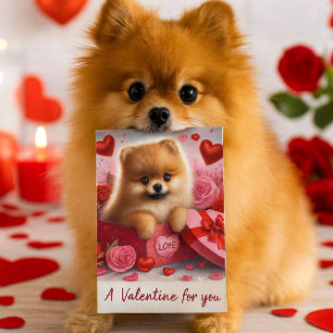 Ein Valentinstag für dich süßer Pomeranian-Hund  Feiertagspostkarte