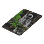 Ein verschwommenes Baby mit Barred Owlet Magnet (Linke Seite)