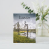 Ein versteckter Sumpfsee in Jämtland Schweden Postkarte (Stehend Vorderseite)