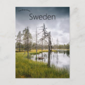 Ein versteckter Sumpfsee in Jämtland Schweden Postkarte (Vorderseite)