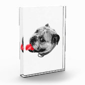 Ein vertrauter Blick, sanft beleuchtet Fotoblock (Links)