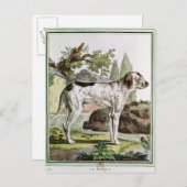 Ein Verweis, Abbildung aus "Histoire Postkarte (Vorne/Hinten)