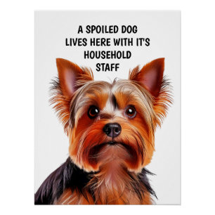 EIN VERWÖHNTER HUND LEBT HIER MIT HAUSHALTSANGESTE POSTER