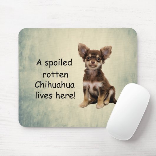 Ein verwöhnter Rotten-Chihuahua-Hund lebt hier Mousepad (Mit Mouse)