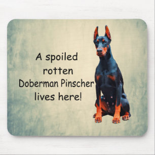 Ein verwöhnter Rotten Doberman Pinscher lebt hier Mousepad