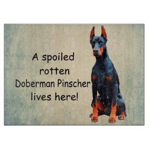 Ein verwöhnter Rotten Doberman Pinscher lebt hier Schneidebrett