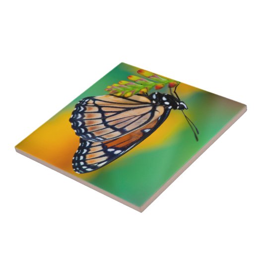 Ein Viceroy Butterfly auf Blume Fliese (Seite)