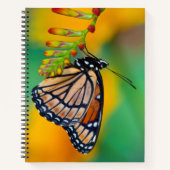Ein Viceroy Butterfly auf Blume Notizblock (Vorderseite)