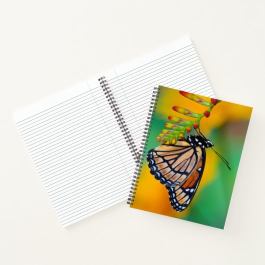 Ein Viceroy Butterfly auf Blume Notizblock (Innenseite)