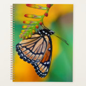 Ein Viceroy Butterfly auf Blume Planer (Vorderseite)