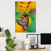 Ein Viceroy Butterfly auf Blume Poster (Heimbüro)