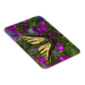 Ein Viceroy Butterfly auf dunkelrosa Blume Magnet (Rechte Seite)