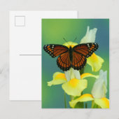 Ein Viceroy Butterfly auf einer gelben japanischen Postkarte (Vorne/Hinten)