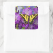 Ein Viceroy Butterfly auf Lila Glads Quadratischer Aufkleber (Tasche)