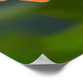 Ein Viceroy Butterfly auf Orange Zinnias Poster (Ecke)