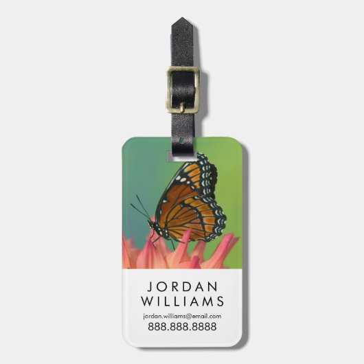 Ein Viceroy Butterfly auf Zinnia Gepäckanhänger (Vorderseite vertikal)