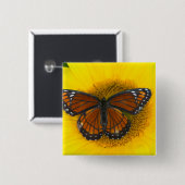 Ein Viceroy Butterfly | Limenitis Archippus Button (Vorne & Hinten)