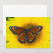 Ein Viceroy Butterfly | Limenitis Archippus Dankeskarte (Vorne/Hinten)