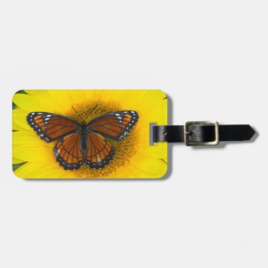 Ein Viceroy Butterfly | Limenitis Archippus Gepäckanhänger (Vorderseite horizontal)