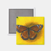 Ein Viceroy Butterfly | Limenitis Archippus Magnet (Vorderseite/Rückseite)